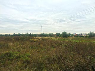 Вид 4
